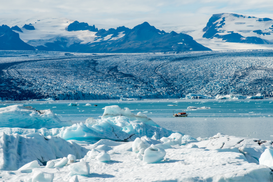 Iceland offers unique, nutritious solutions for pet parents.